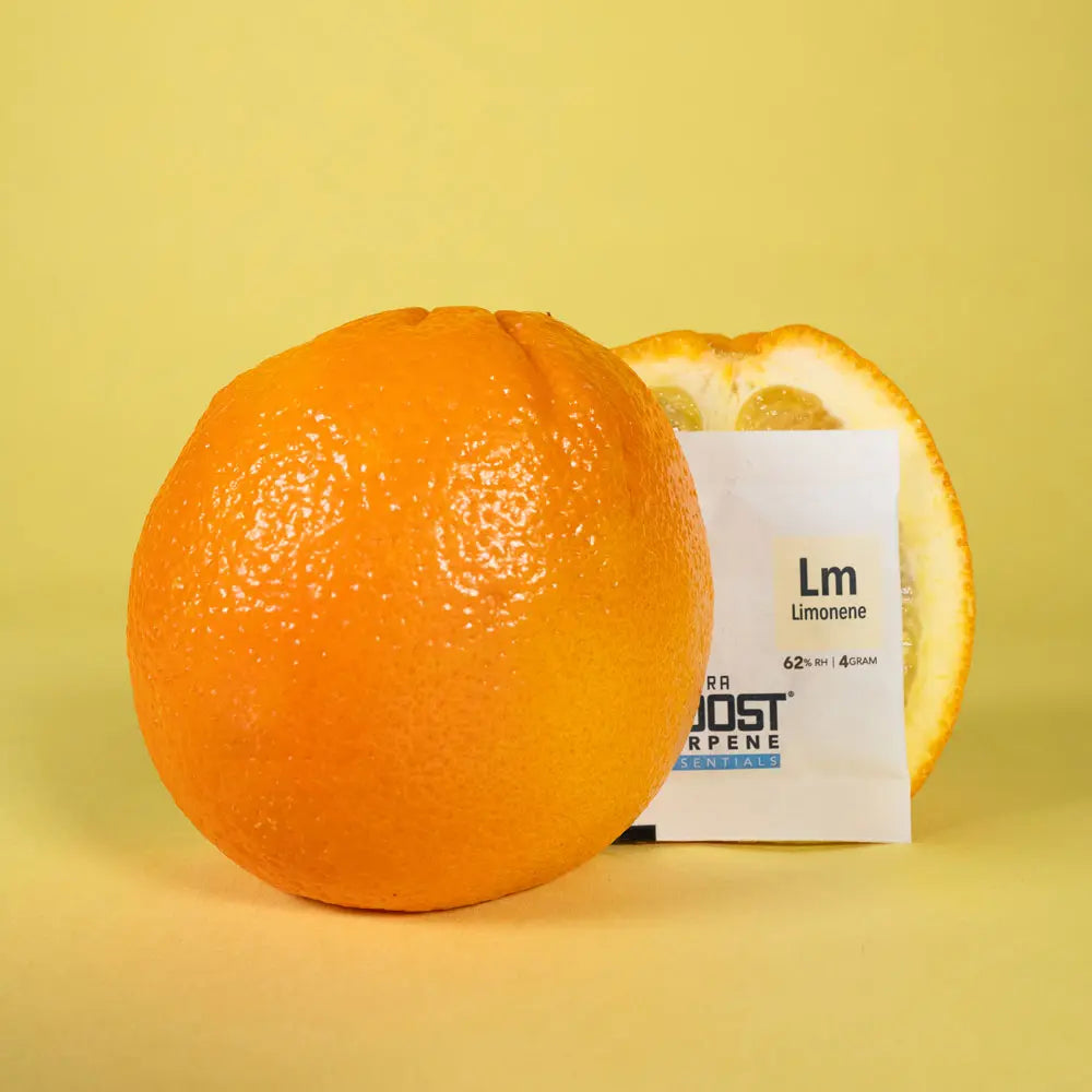 Integra Boost Limonene 62% 67g x12 - Display Integra Boost