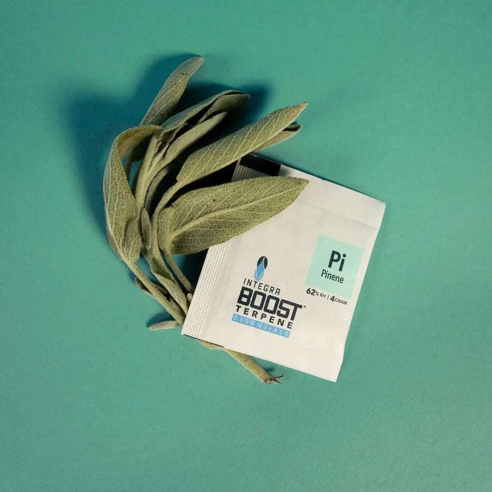 Integra Boost Pinene 62% 67g x12 - Display Integra Boost