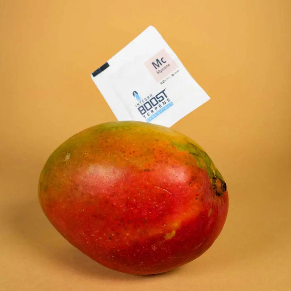Integra Boost Terpene Myrcene 62% 4g x48 - Display Integra Boost