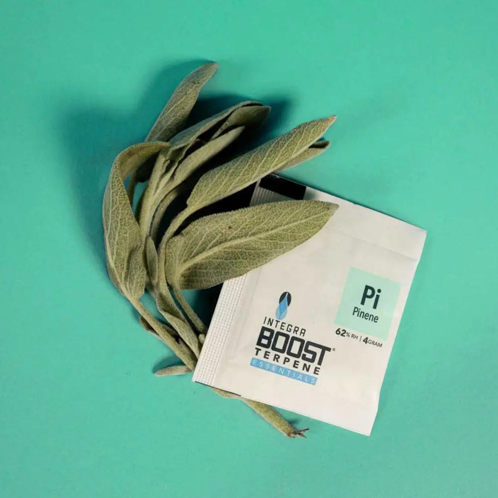 Integra Boost Terpene Pinene 62% 4g x48 - Display Integra Boost