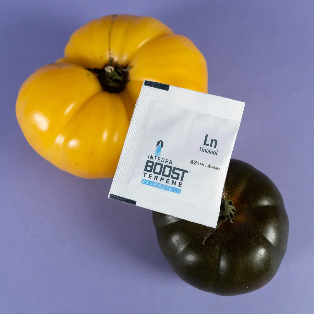 Integra Boost Terpenes Linalool 62% 4g x48 - Display Integra Boost