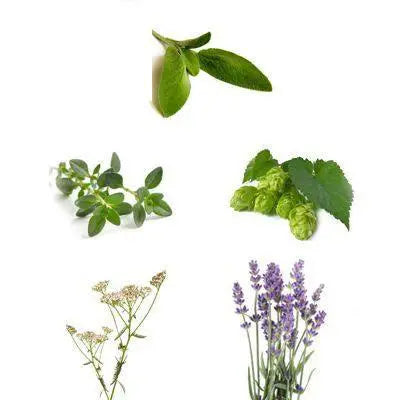 Kräuterpaket Klein 70g Take-roots