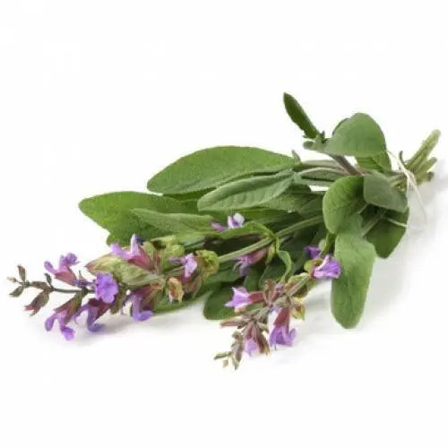 Muskatellersalbei BIO DEMETER 5ml Primavera