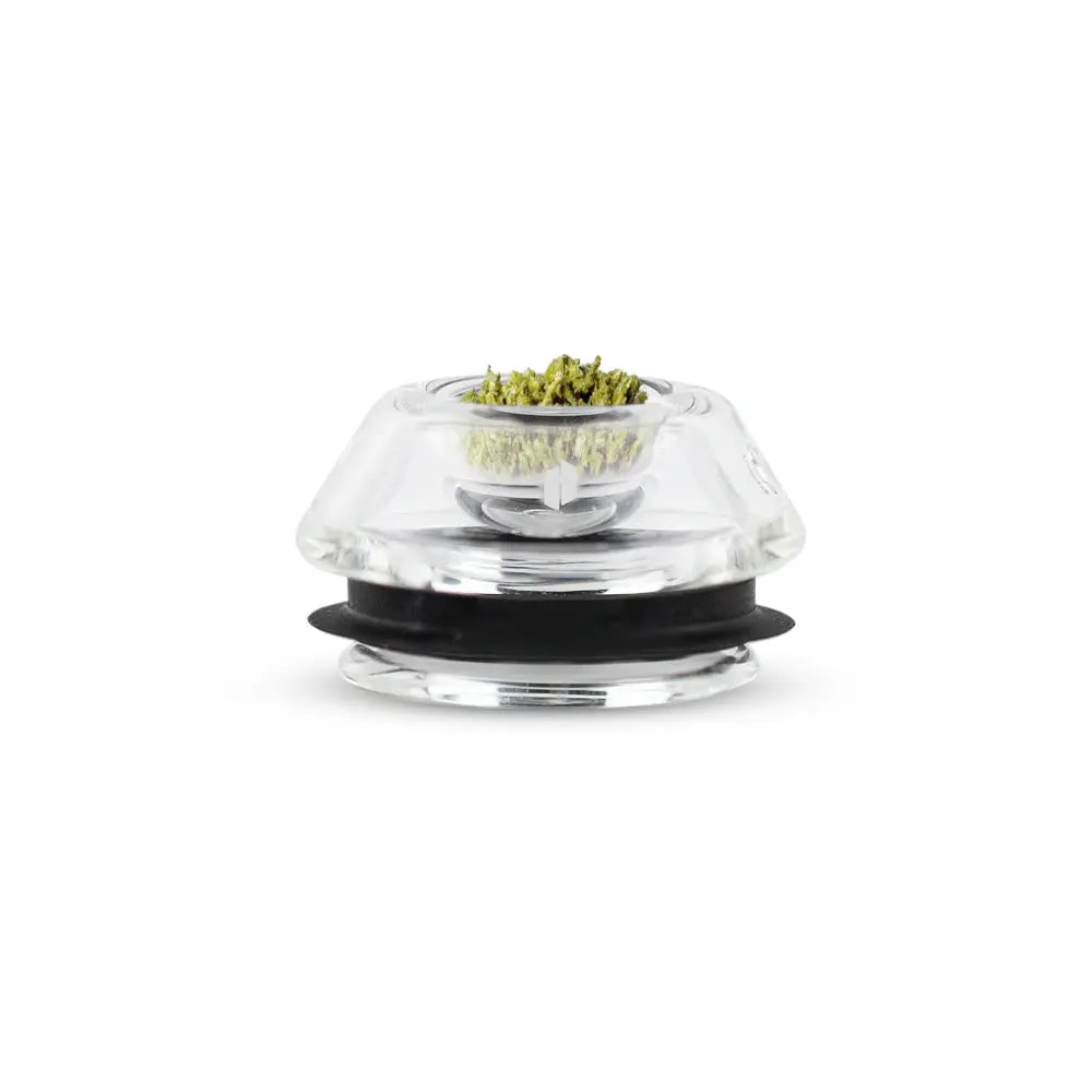 Proxy - Flower Bowl - Glaseinsatz für Kräuter - Pure-Vape.de