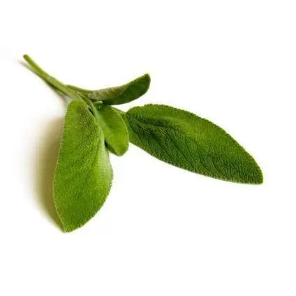 Salbei BIO DEMETER 5ml Primavera